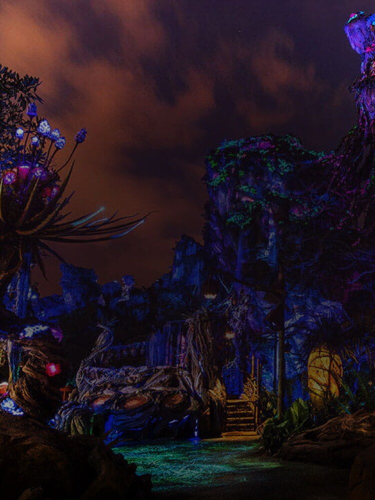 The Inside Story of Disney Worlds Avatar Theme Park